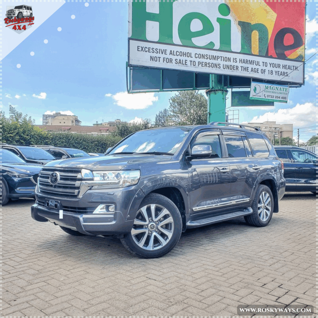 レイン アシックス メンズ レディース エイムトレーニング AIM-TRG 裏